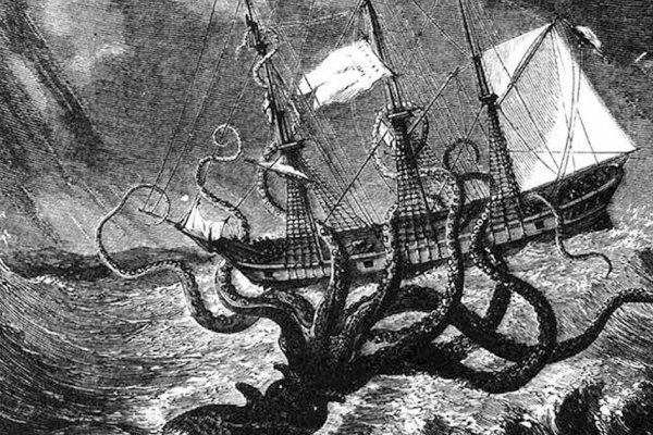 Kraken url