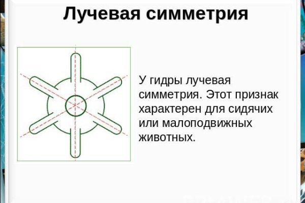 Ссылка на кракен в тор браузере
