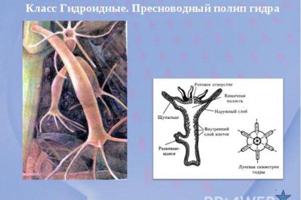 Кракен браузер