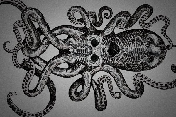 Kraken 12 att