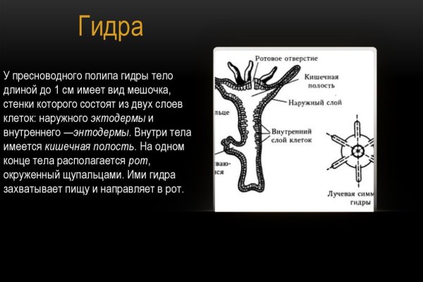 Кракен это что за сайт