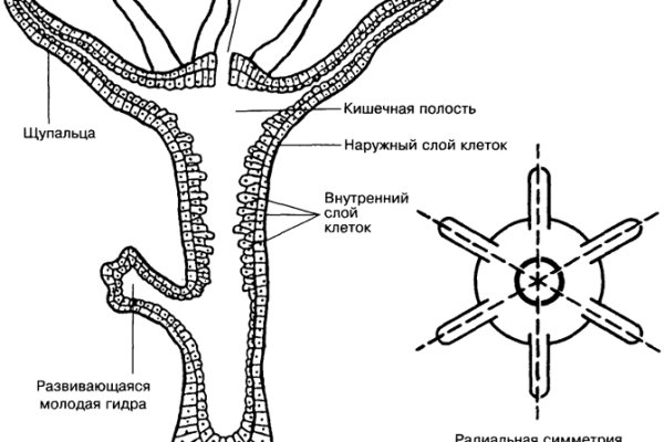 Ссылки кракен телеграф