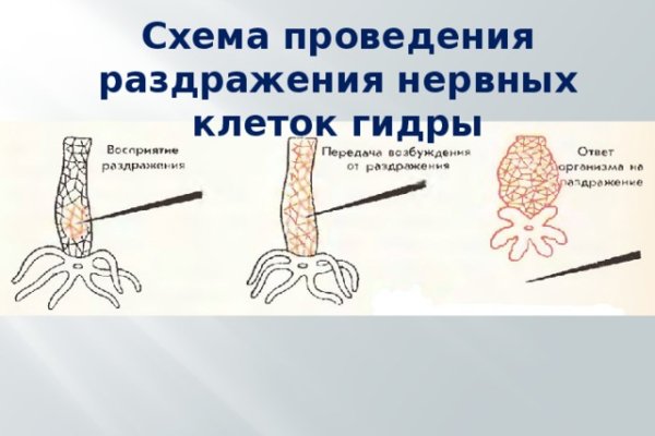 Кракен сайт