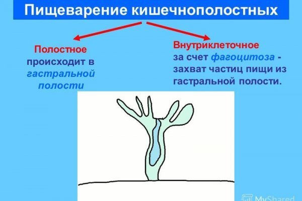 Что такое кракен маркет
