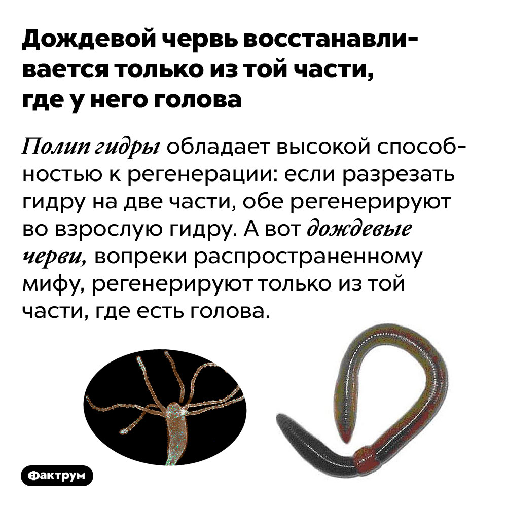 Kraken 12at зеркало
