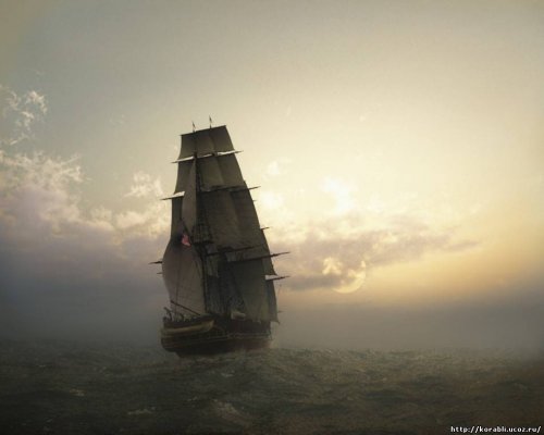 Кракен даркнет store kraken dark link