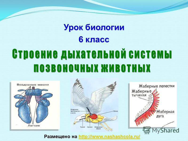 Кракен магазин наркоты